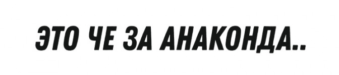 это че за анаконда