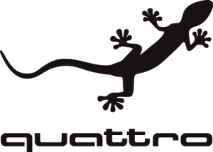 AUDI QUATTRO GECKO