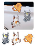 cats 3in1