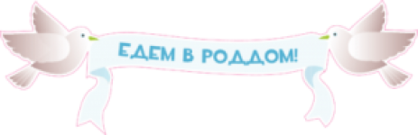 Едем в роддом